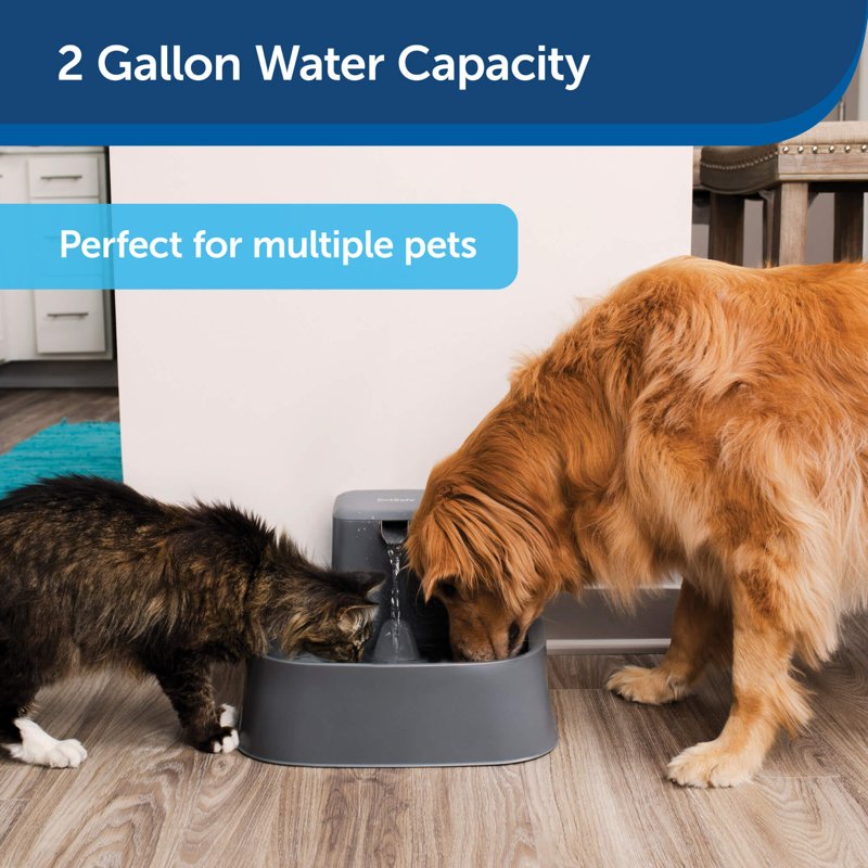 PetSafe Drinkwell 2 Gallon Pet Fountain Large