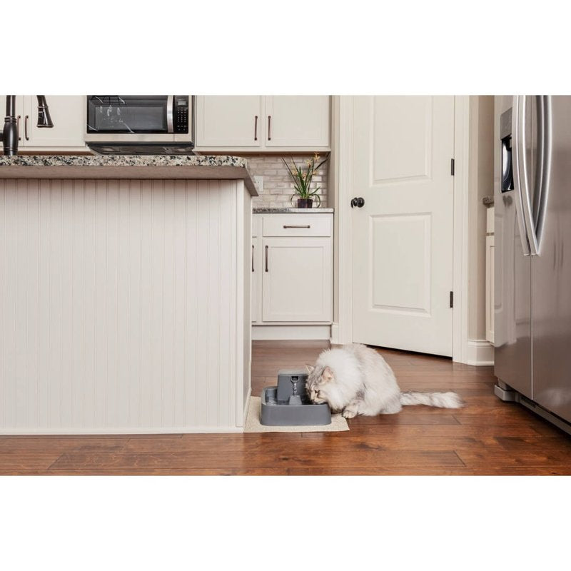 PetSafe Drinkwell 1/2 Gallon (64 Ounce) Small Pet Fountain - Small Dog and Cat Water Fountain - Dishwasher Safe Filtered Water Dispenser with Flow Control - Easy to Clean - Filters Included