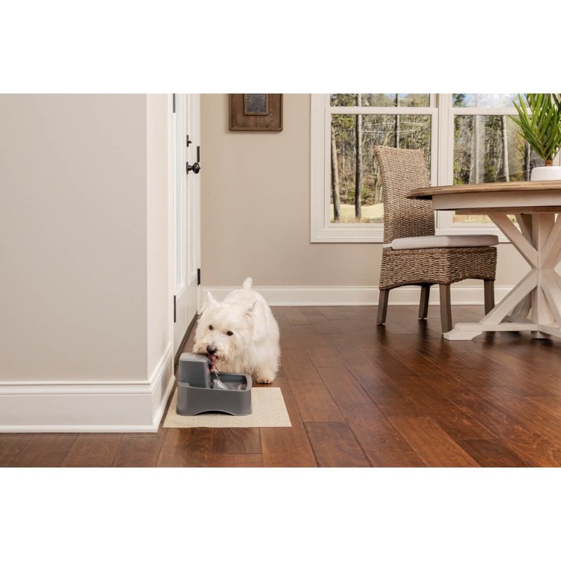PetSafe Drinkwell 1/2 Gallon (64 Ounce) Small Pet Fountain - Small Dog and Cat Water Fountain - Dishwasher Safe Filtered Water Dispenser with Flow Control - Easy to Clean - Filters Included