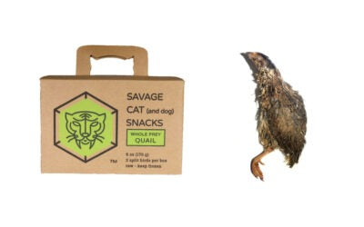 Savage Cat Food Split Quail, Raw Frozen Cat Treat