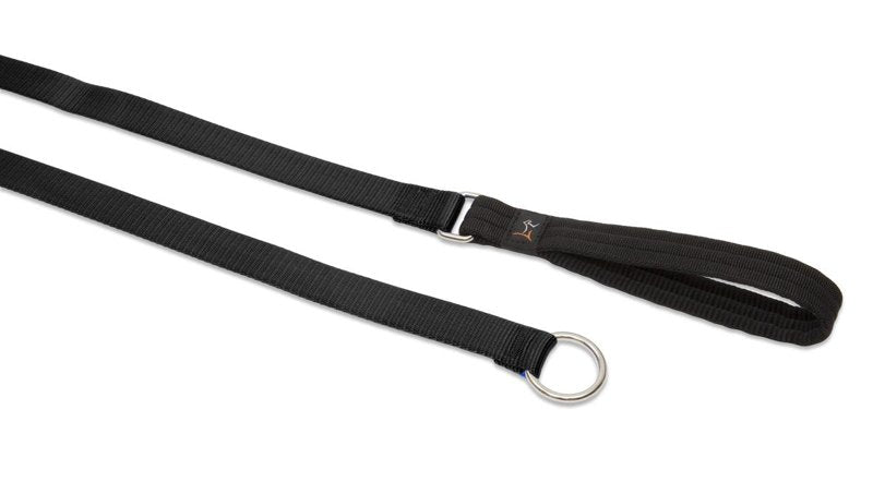Lupine Slip Leash