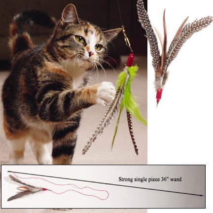 Go Cat Da Bird Single Pole Teaser on 36 inch Rod