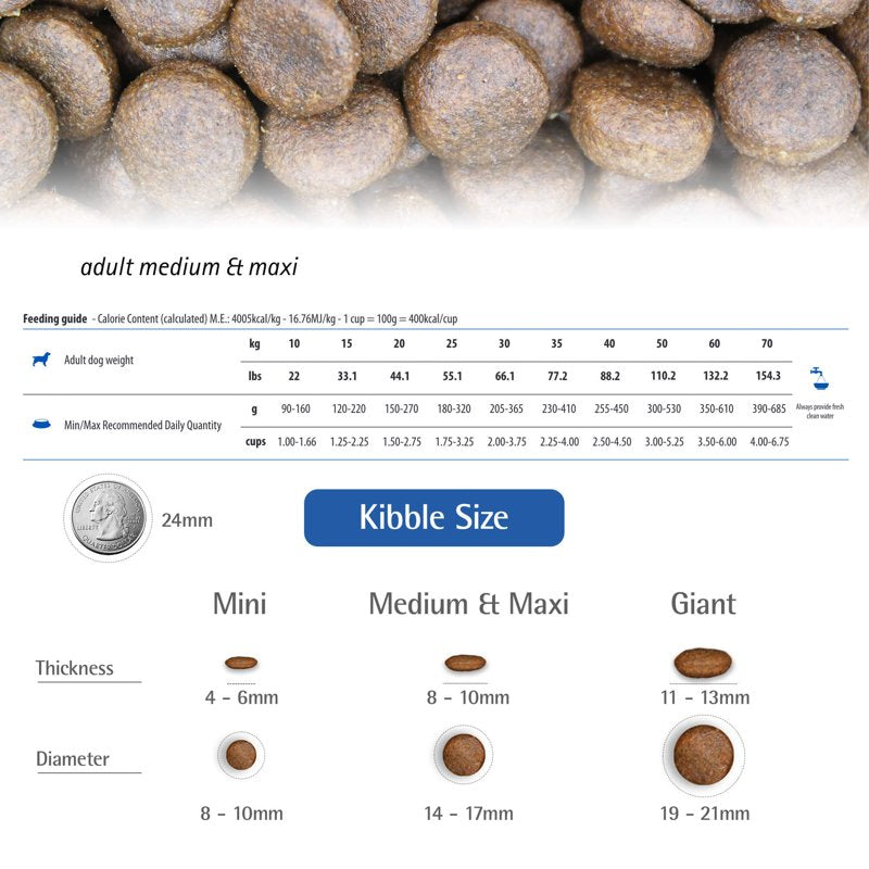 Farmina Pet Foods Lamb & Blueberry Adult Mini