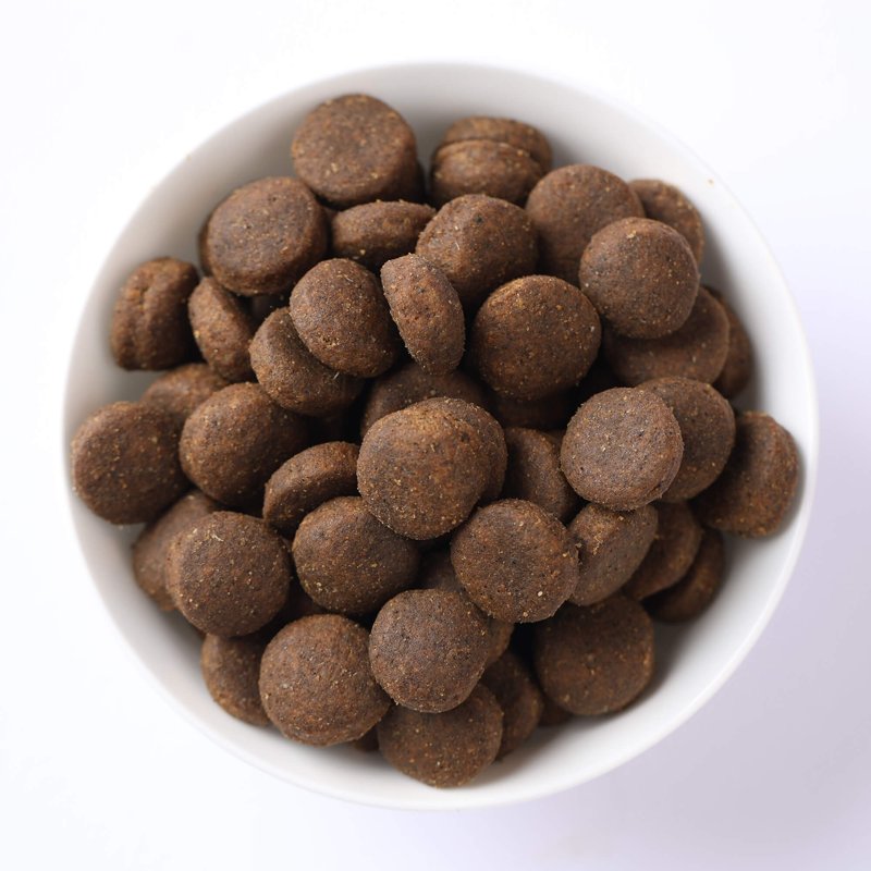 Lamb & Blueberry Adult Medium & Maxi