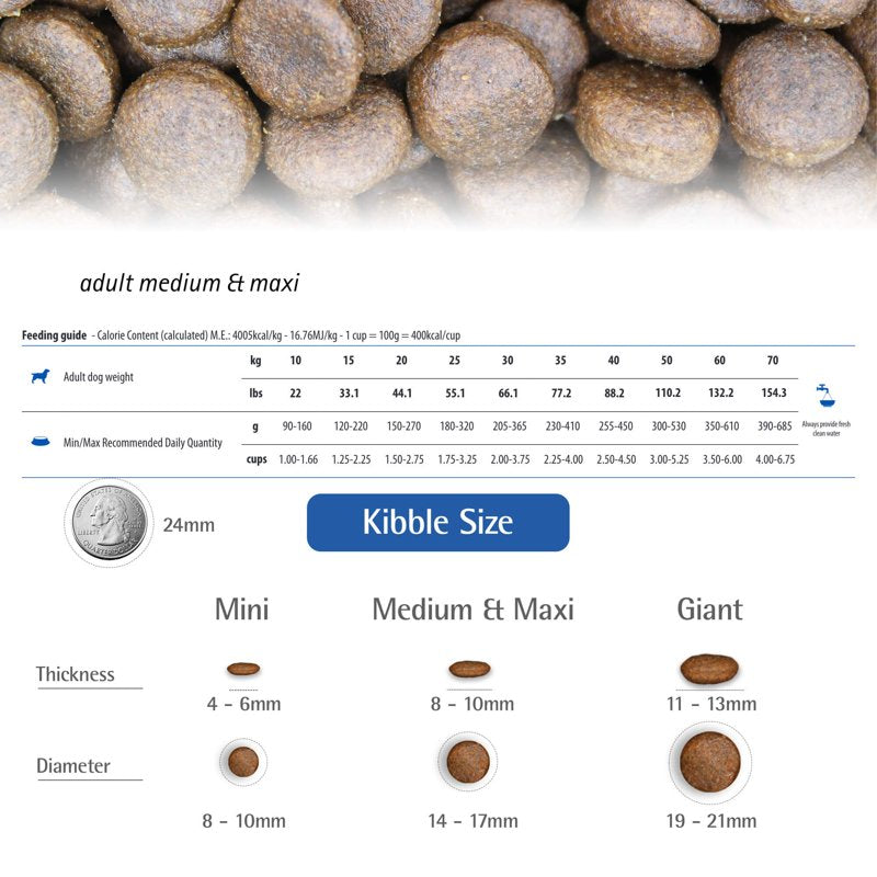 Lamb & Blueberry Adult Medium & Maxi