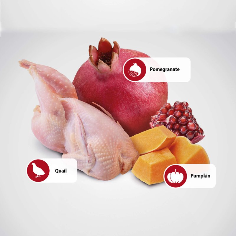Farmina N&D, Pumpkin Quail Pumpkin and Pomegranate Recipe Adult Dry Cat Food, 3.3lb