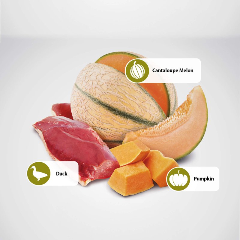Farmina N&D, Pumpkin Duck Pumpkin and Cantaloupe Melon Recipe Adult Dry Cat Food, 3.3lb