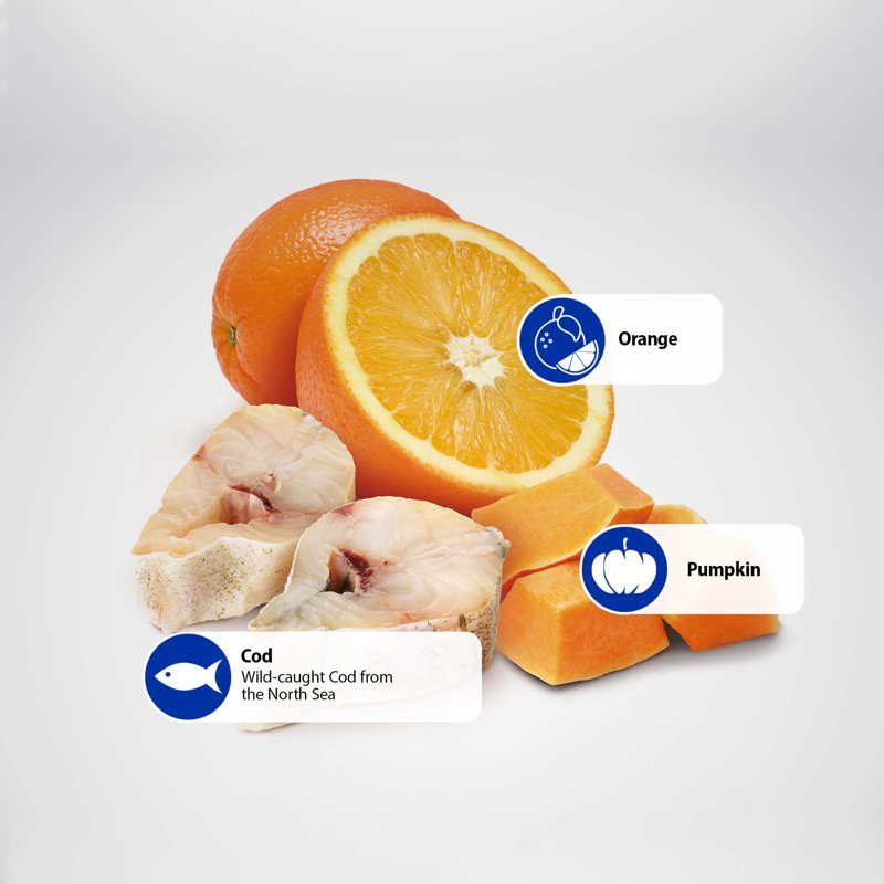 Farmina N&D Dog Codfish, Orange & Pumpkin Mini 5.5 Pounds