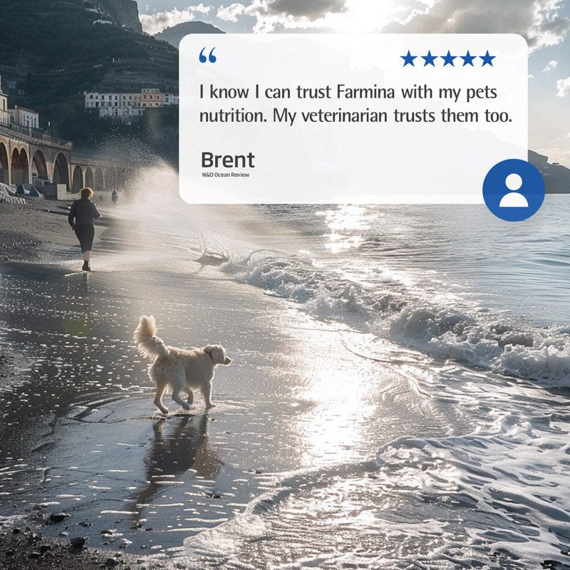 Farmina N&D Dog Codfish, Orange & Pumpkin Mini 5.5 Pounds