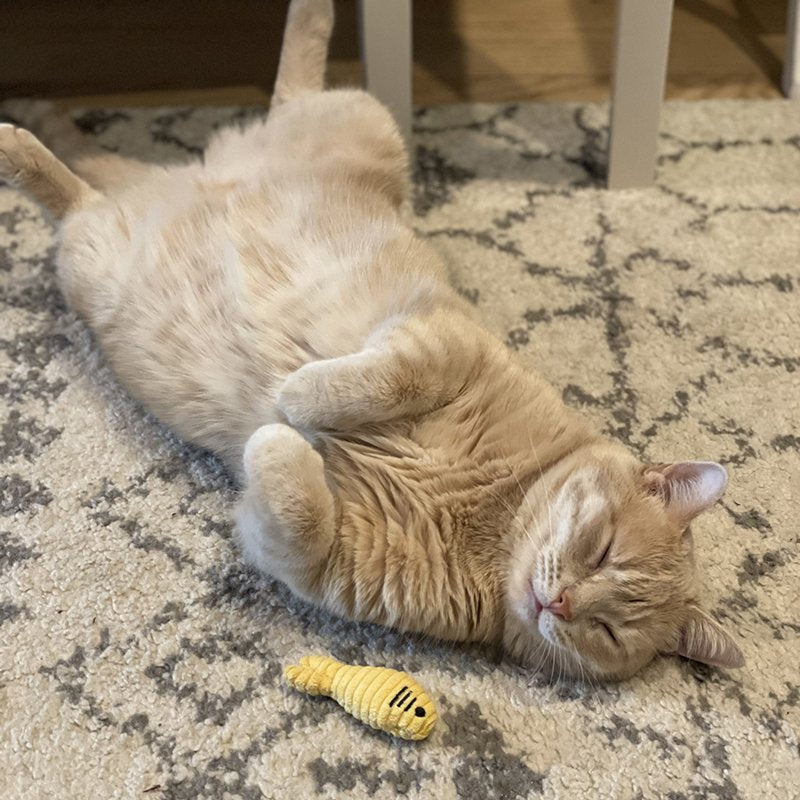 HuggleHounds Cat Mouse Toys - Interactive & Stimulating Cat Toy with Cat Nip Infused - Feather Mice Toy for Indoor Cats | HuggleKats Sardinies