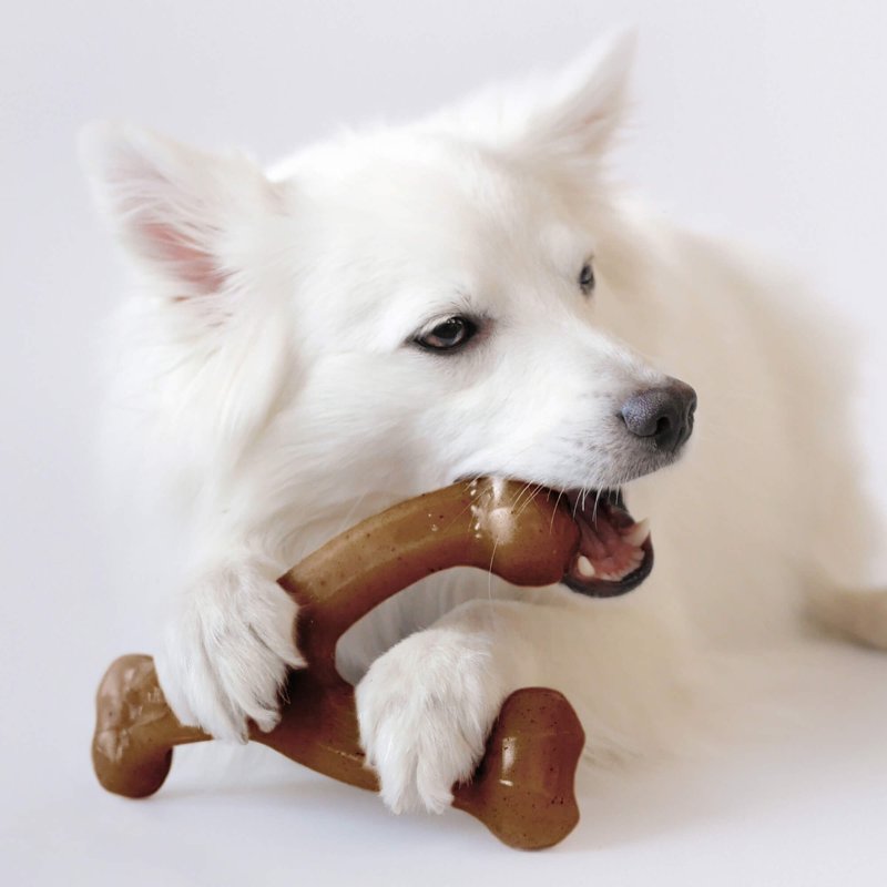 Benebone Wishbone Durable Dog Chew Toy for Aggressive Chewers, Real Chicken, Made in USA, Medium