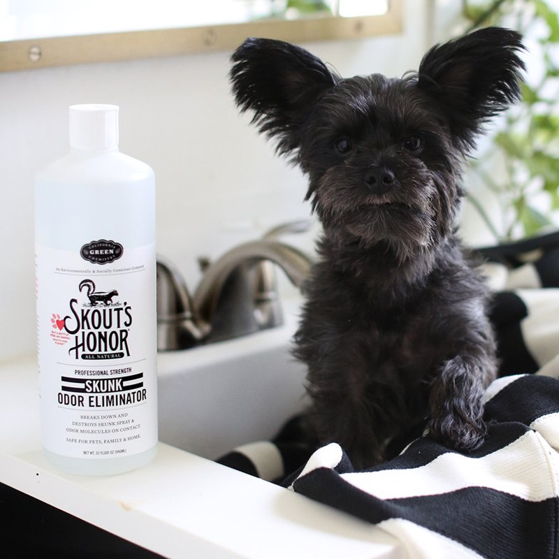 Skout's Honor Professional Strength Skunk Odor Eliminator for Pets, Family & Home