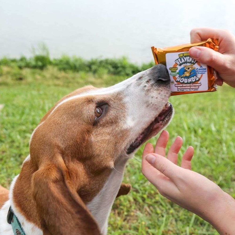 Heavenly Hounds Peanut Butter Chews - Anxiety Relief for Dogs - Natural Ingredients - No Hemp Calming Treats, 2 Oz