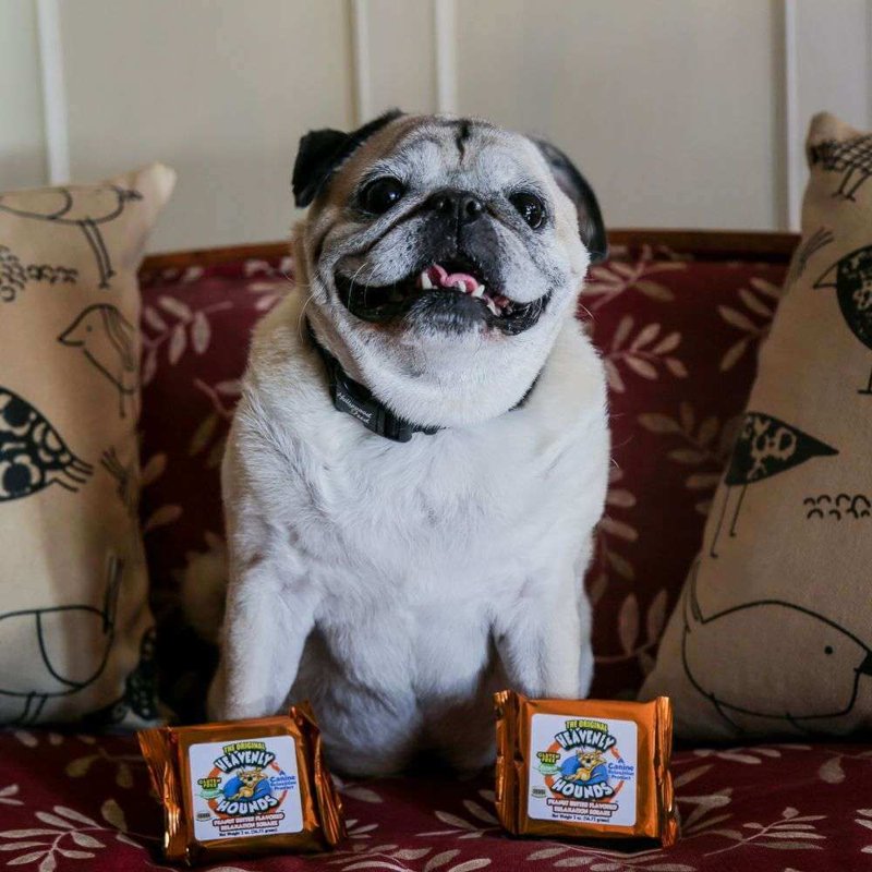 Heavenly Hounds Peanut Butter Chews - Anxiety Relief for Dogs - Natural Ingredients - No Hemp Calming Treats, 2 Oz