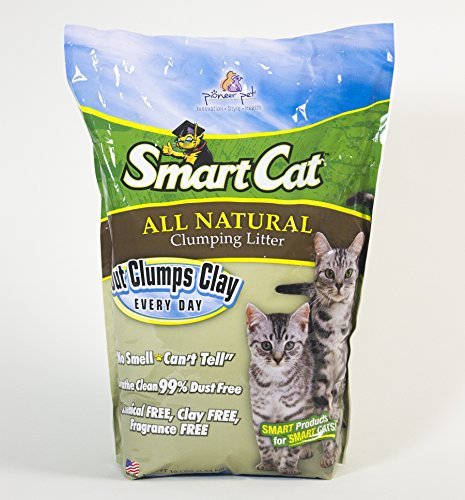 SmartCat All Natural Clumping Cat Litter, 10 Pound (160oz 1 Pack) - Alternative to Clay and Pellet Litter - Chemical and 99% Dust Free - Unscented and Lightweight