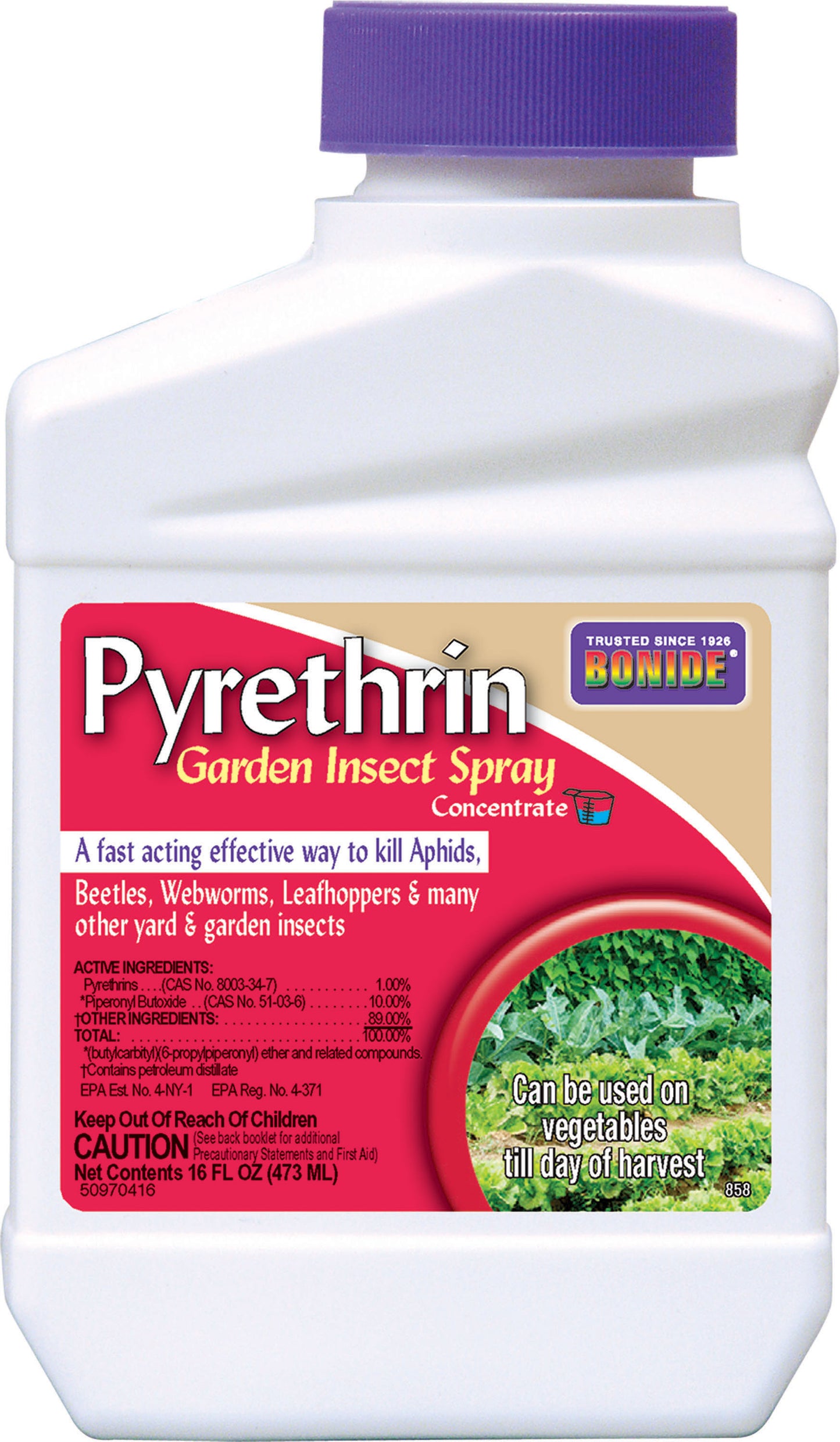 Bonide Pyrethrin Garden Insect Spray Concentrate