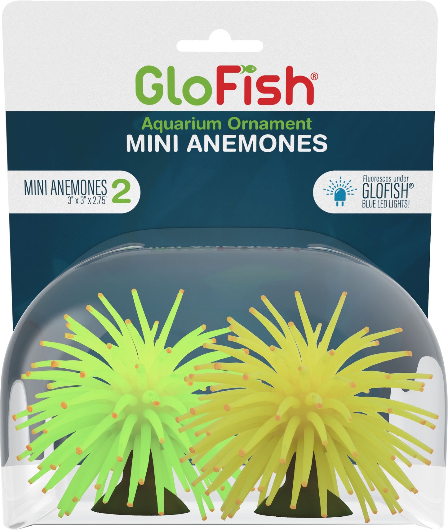 Glofish Anemone
