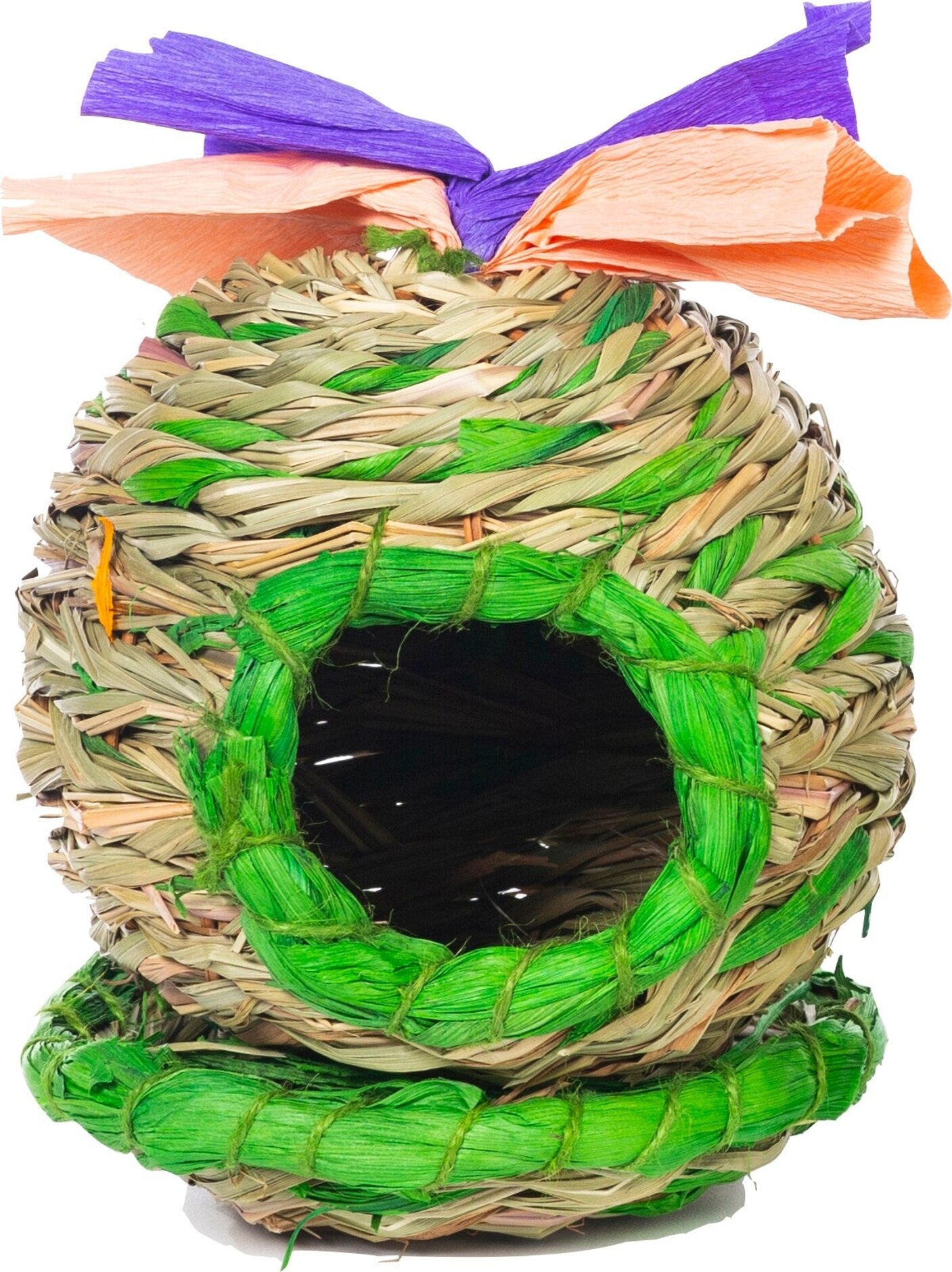 Potted Barrel Cactus Hideaway