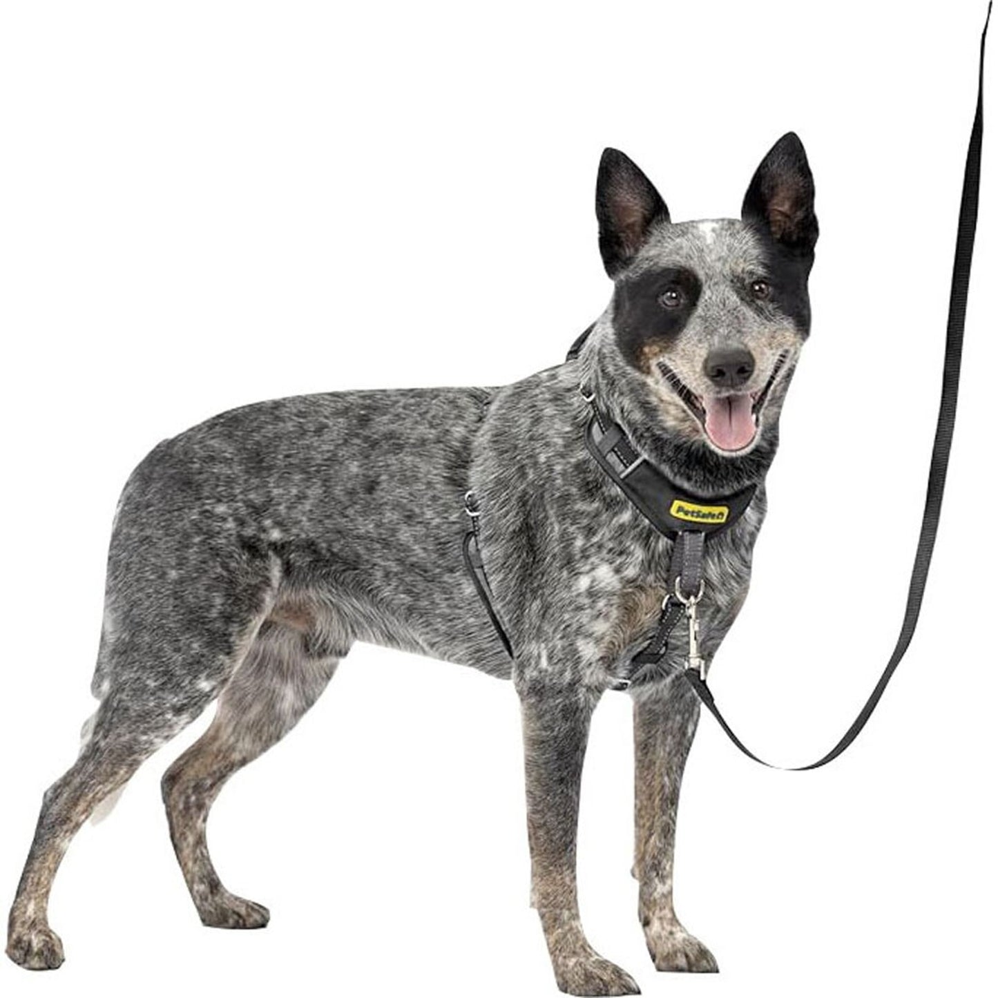 Petsafe Easy Walk Comfort Harness