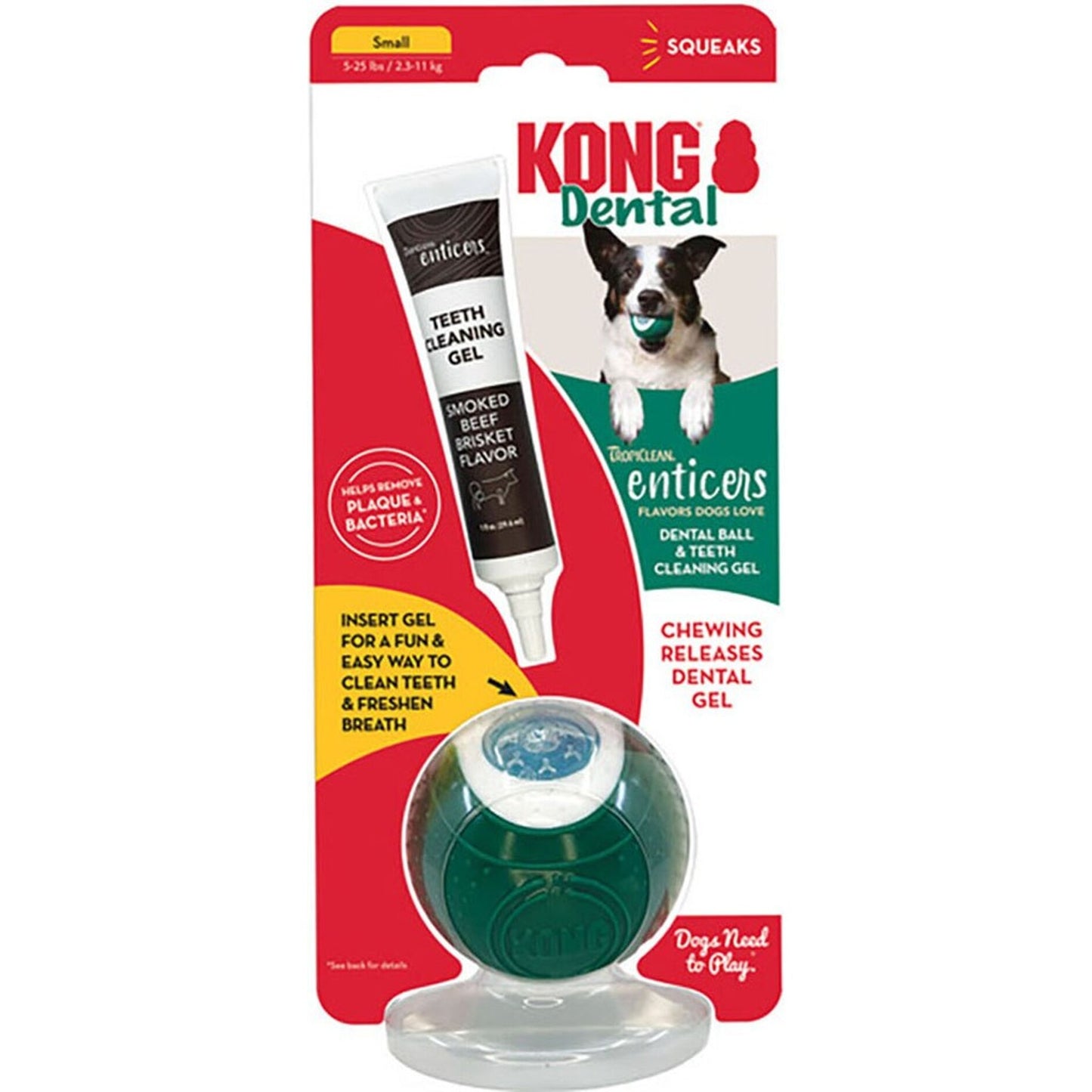 Kong Dental Ball
