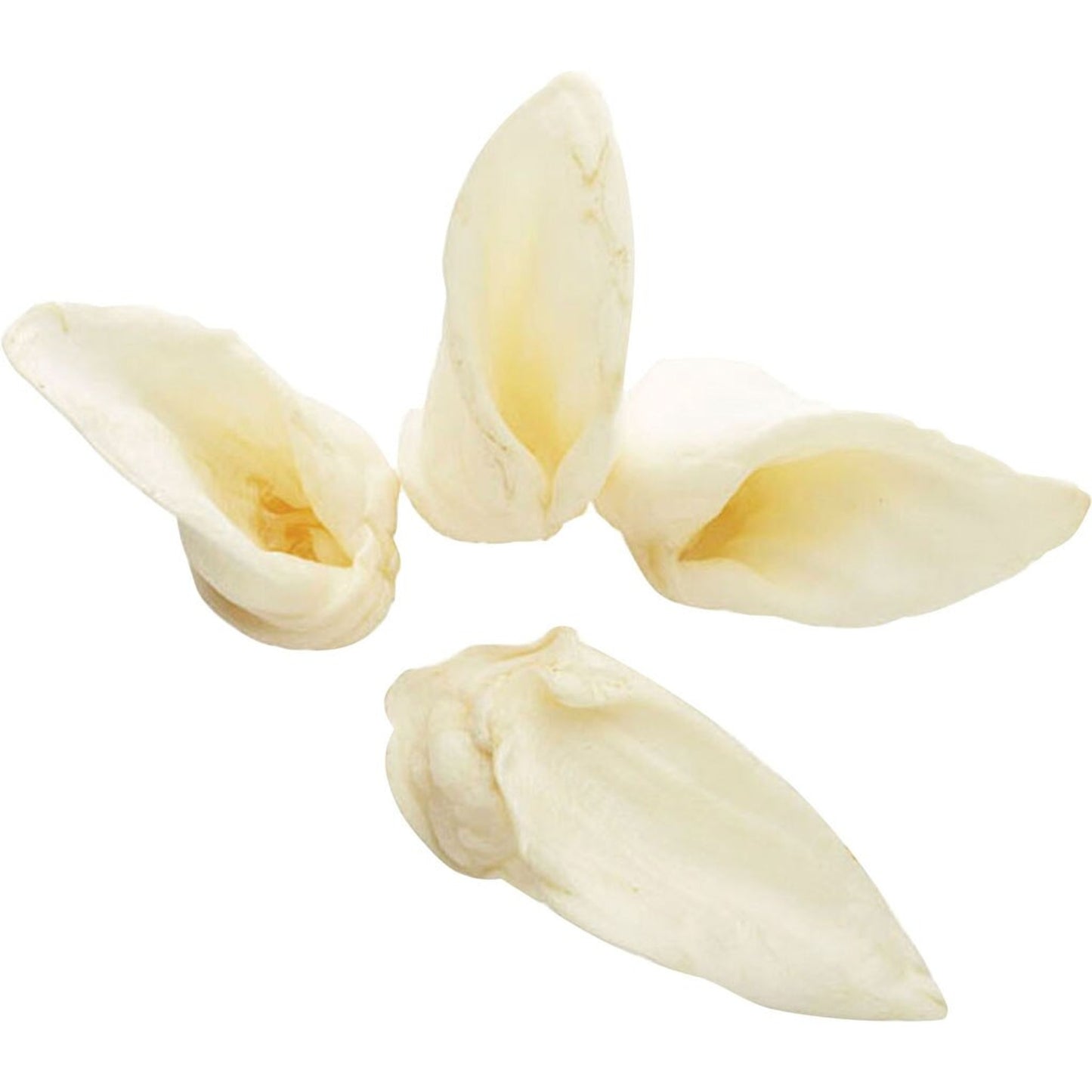 Redbarn Naturals Lamb Ears