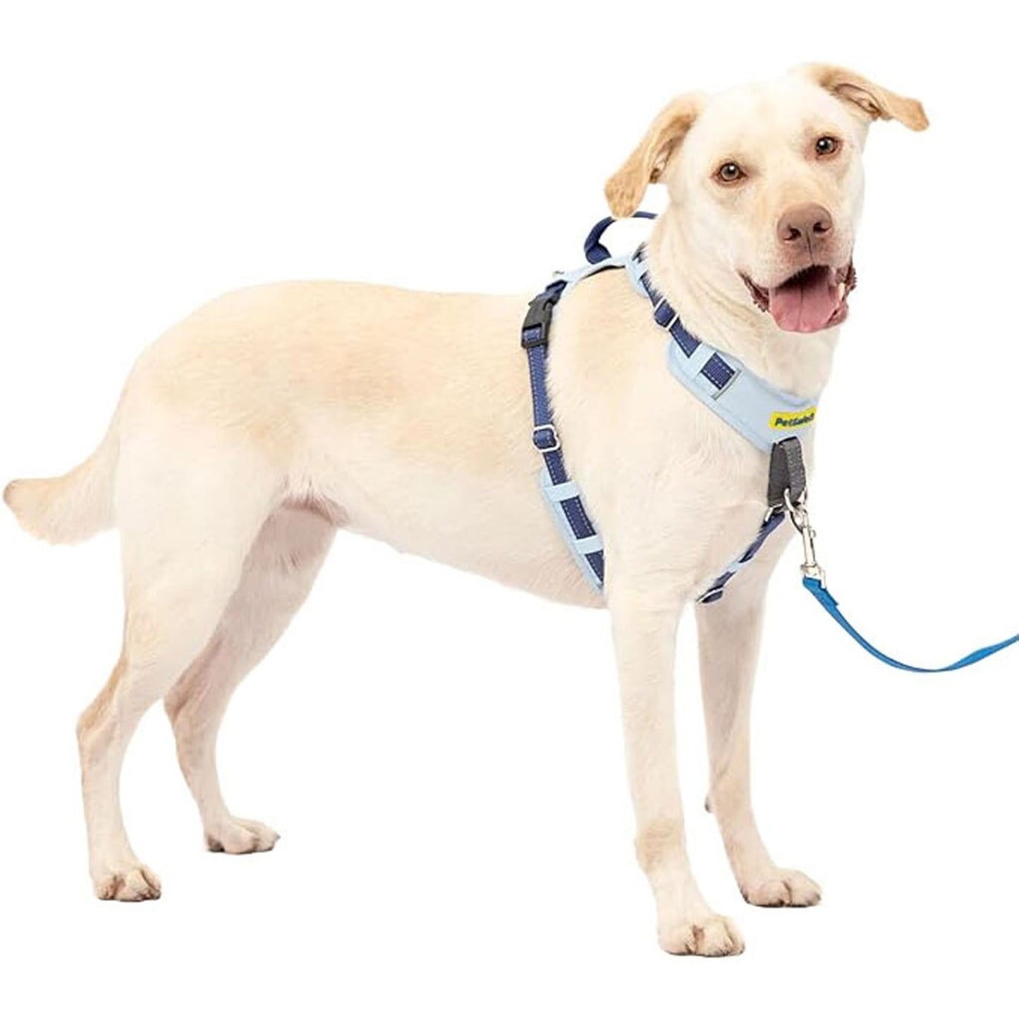 Petsafe Easy Walk Comfort Harness
