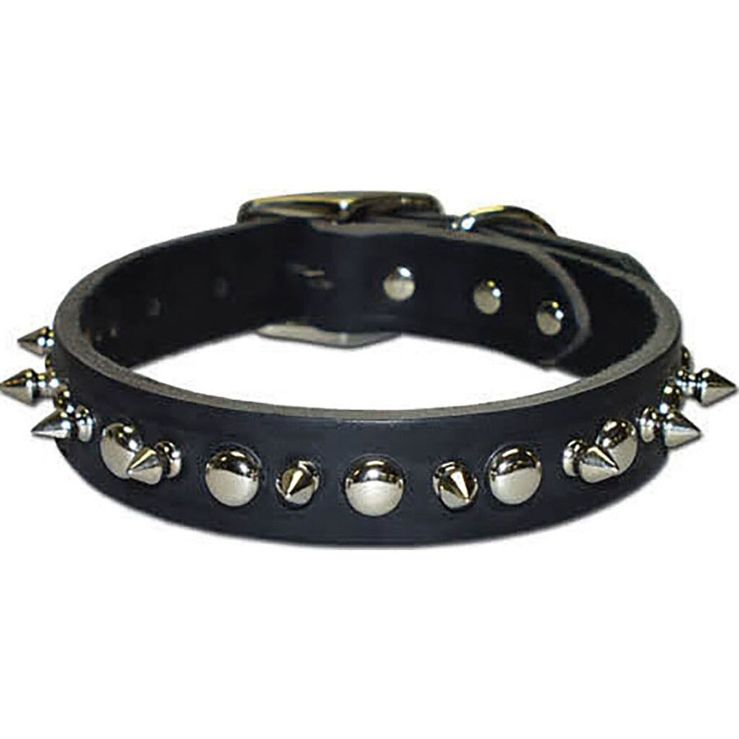 Latigo Leather 1 Ply Spiked Dog Collar