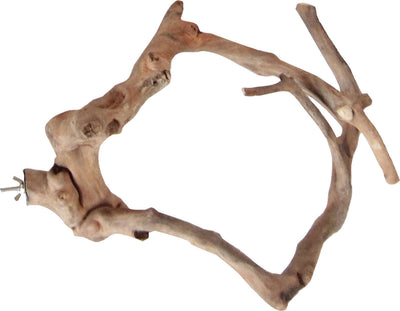Close-up of a Java Wood Multi-Branch Perch XS, showing natural wood branches forming a circular shape with a mounting screw.