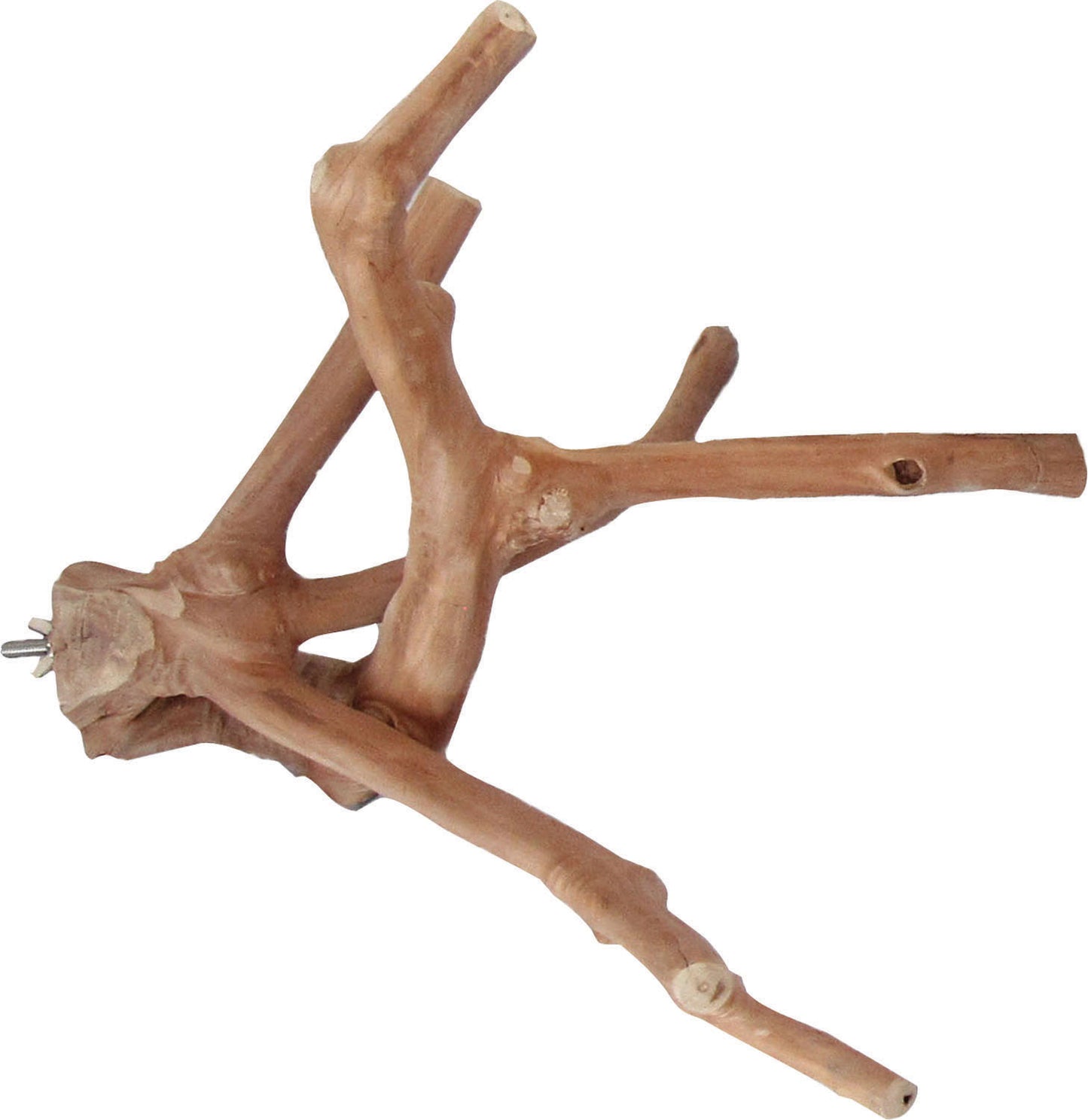 Java Wood Multi-Branch Perch