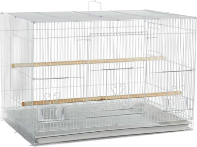 A&E Economy Flight Bird Cage, white, 24x16x16 in, front view, metal wire cage with wooden perches and clear feeders.