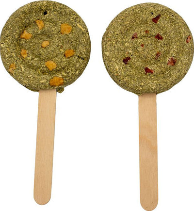 Two round green hay pops on wooden sticks with orange and red bits, close-up view