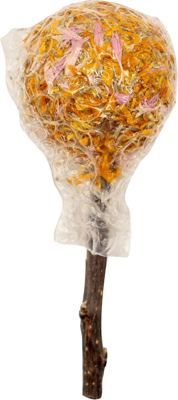A clear plastic bag filled with orange and pink dried flowers on a wooden stick, packaged product