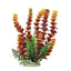 Cabomba-Like Weighted Aquarium Plant