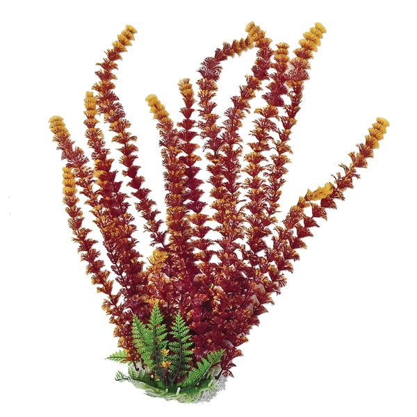 Cabomba-Like Weighted Aquarium Plant