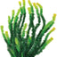 Bushy Weighted Aquarium Plant