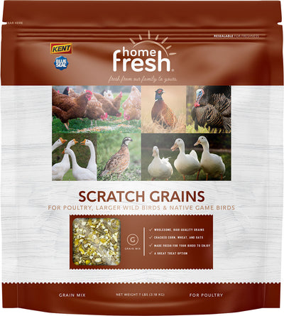 Blue Seal Home Fresh Multi Flock Scratch Grains
