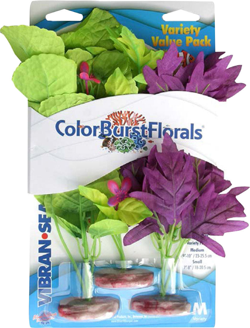 Color Burst Florals Amazon Flowering Cluster – Perk Valley Pet Eatery