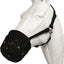 Best Friend Deluxe Grazing Muzzle