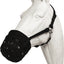 Best Friend Deluxe Grazing Muzzle