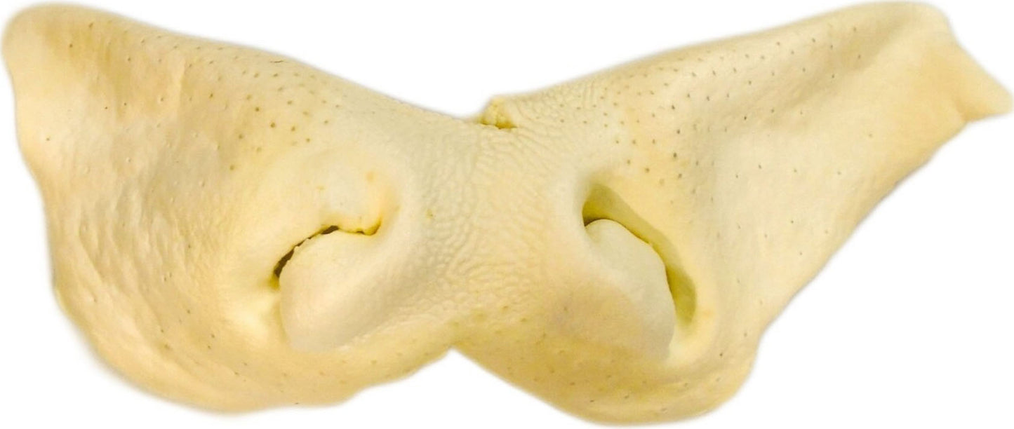 Nature'S Own Usa Not-Rawhide Chew Treat (Pack Of 12)