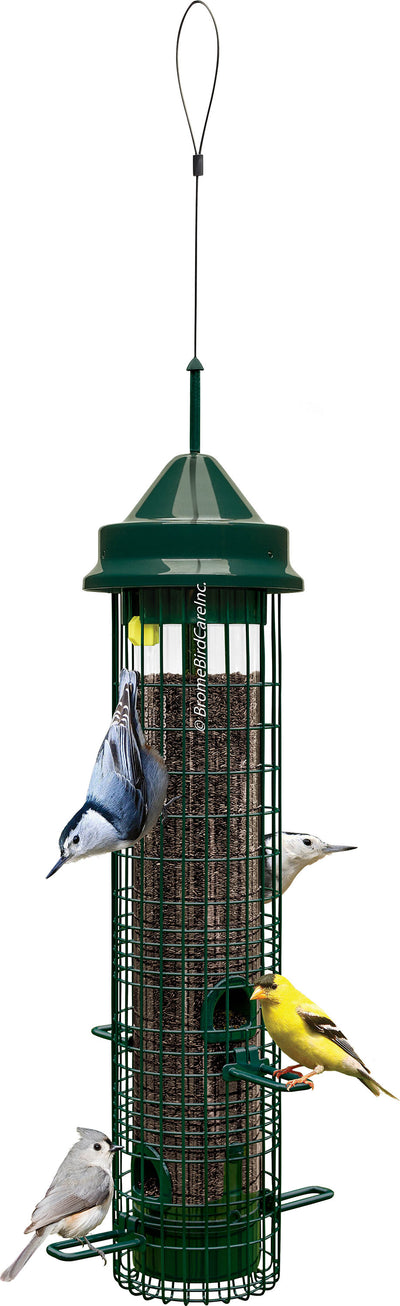 Squirrel Buster Classic Wild Bird Feeder