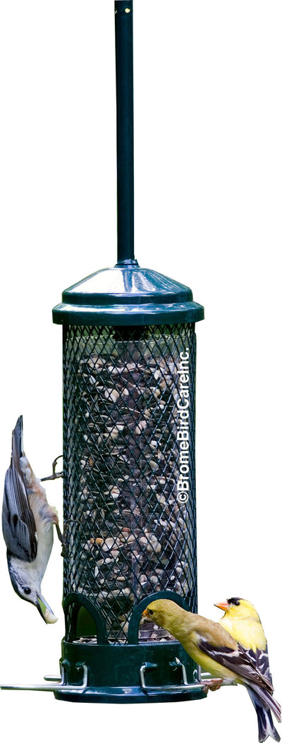 Squirrel Buster Mini Wild Bird Feeder