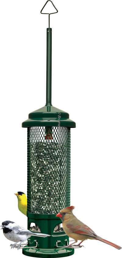 Squirrel Buster Legacy Wild Bird Feeder
