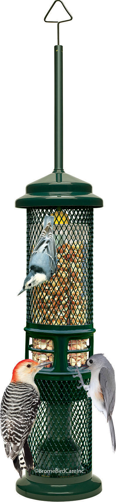 Squirrel Buster Nut Wild Bird Feeder
