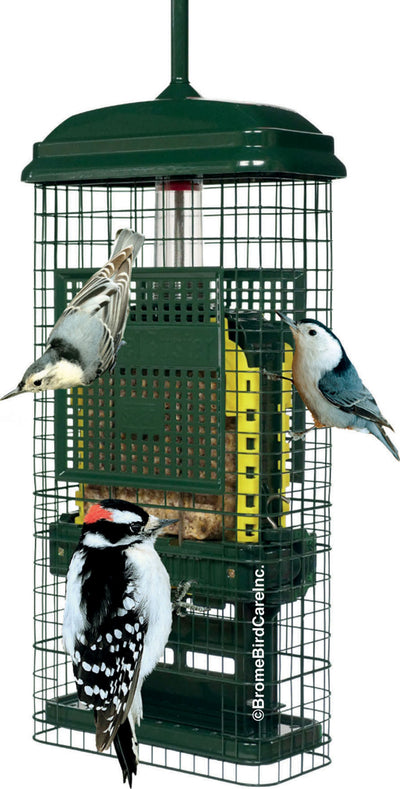 Squirrel Buster Suet Wild Bird Feeder