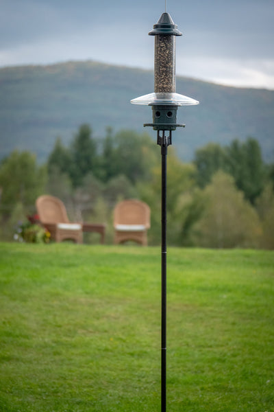 A black Birdsup Single Pole bird feeder on a grassy lawn with two wicker chairs and mountains in the background.