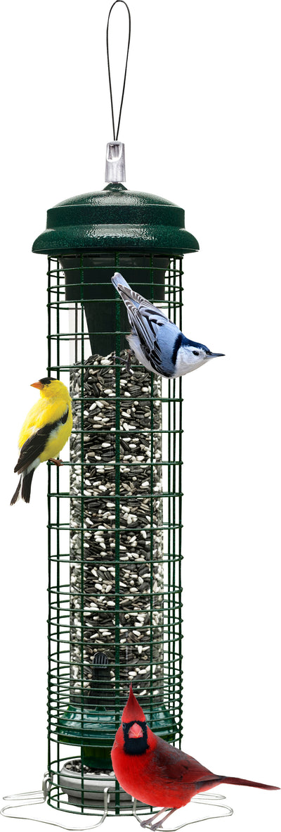 Squirrel Solution 150 Wild Bird Feeder