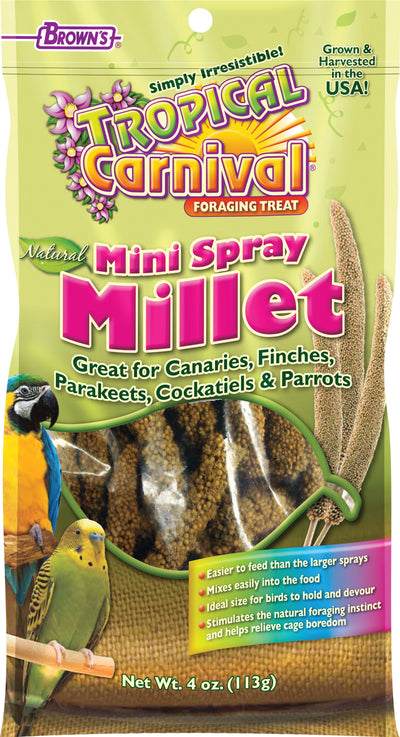 Tropical Carnival Natural Mini Spray Millet