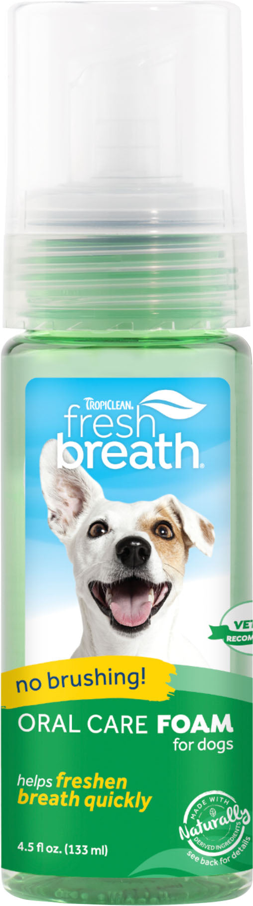 Fresh Breath Oral Care Foam