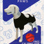 Calm Paws Calming Recovery Vest